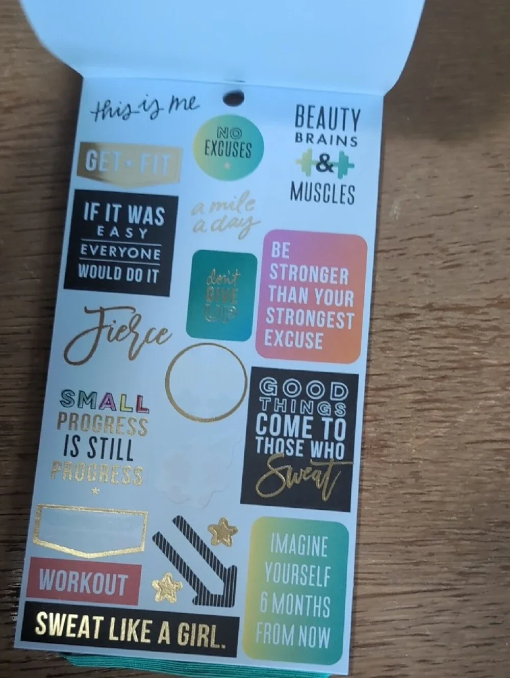 The Happy Planner Fitness Sticker Pack - Green, Teal, Pink, Black
